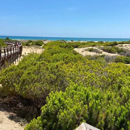Arenales Del Sol Vista Playa Carabassi San Antonio Appartement